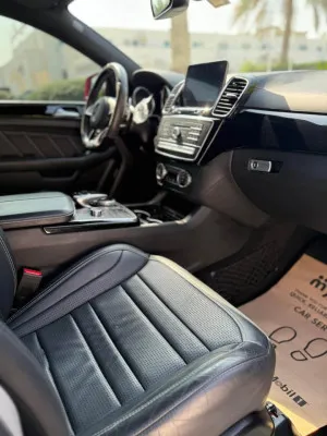 2016 Mercedes-Benz GLE