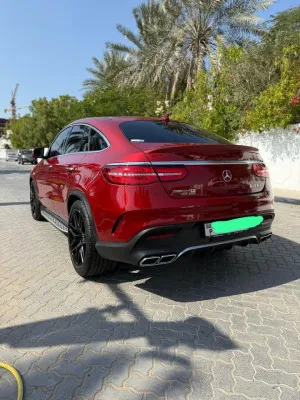 2016 Mercedes-Benz GLE