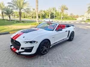 USA import  American Ford mustag GT   2020  