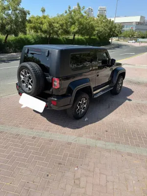 2023 Baic BJ40