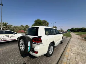 2019 تويوتا لاند كروزر