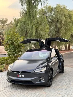 2019 تسلا X موديل in dubai