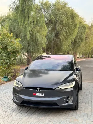 2019 تسلا X موديل