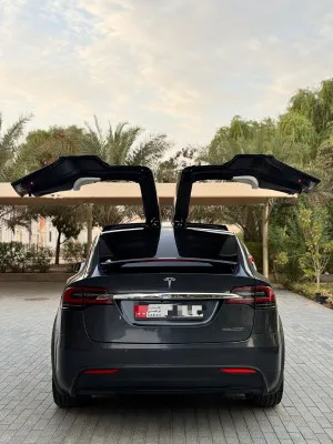 2019 تسلا X موديل