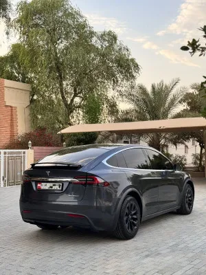 2019 تسلا X موديل