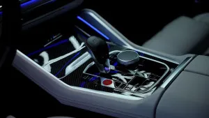2021 BMW X6