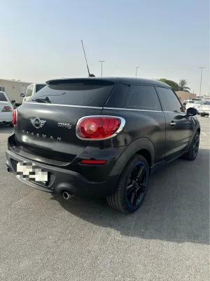 2009 ميني باكمان