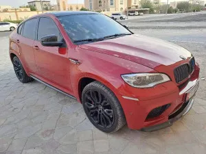 2013 BMW X6