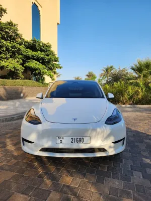 2024 تسلا Y موديل in dubai