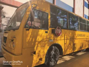 2009 TATA TATA