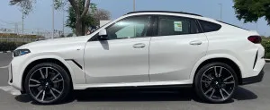 2025 BMW X6