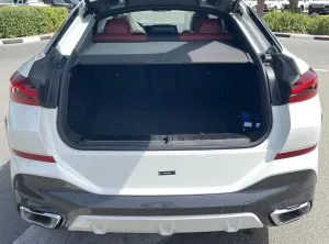 2025 BMW X6