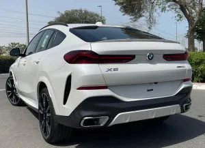 2025 BMW X6