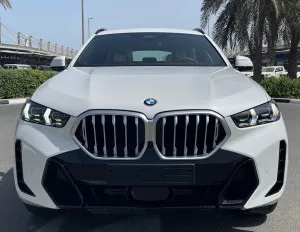 2025 BMW X6
