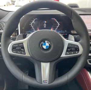2025 BMW X6