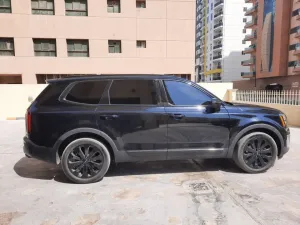 2022 Kia Telluride