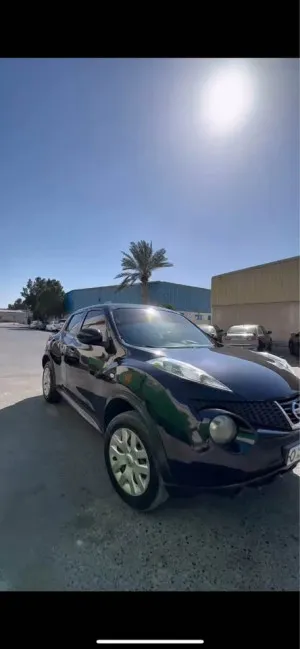 2014 Nissan Juke