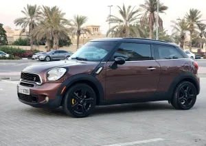 2015 ميني باكمان