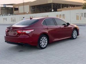 2019 تويوتا كامري