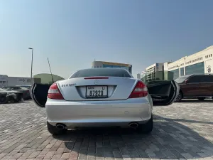 2006 Mercedes-Benz SLK