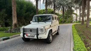 2007 Mercedes-Benz G-Class in dubai