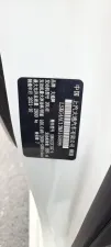 2021 Maxus G10