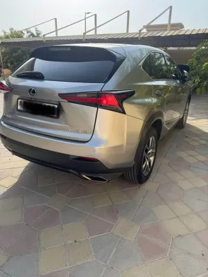 2021 Lexus NX