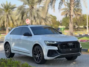 2019 اودي كيو ٨