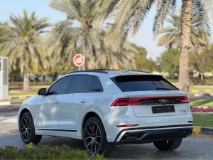 2019 اودي كيو ٨