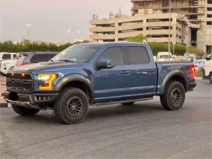 2019 فورد رابتر