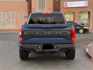 2019 فورد رابتر