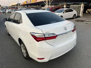 2019 تويوتا كورولا
