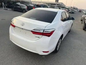 2019 تويوتا كورولا