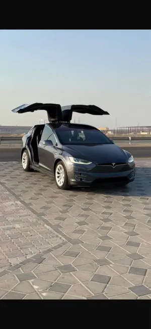 2018 Tesla Model X