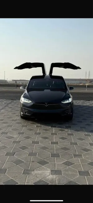 2018 Tesla Model X