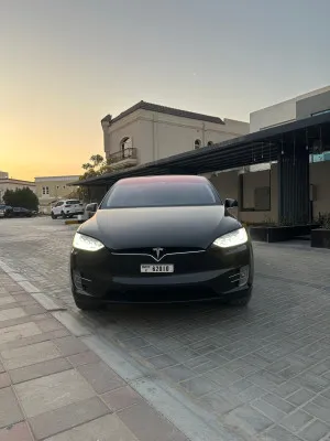 2019 تسلا X موديل in dubai