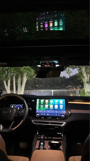 2023 Lexus RX