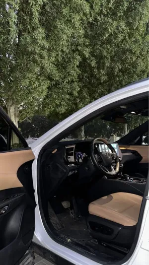 2023 Lexus RX