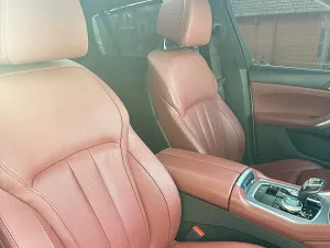 2021 BMW X6