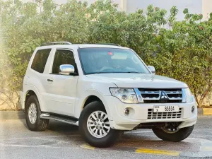 2014 Mitsubishi Pajero