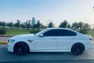 2014 بي أم دابليو الفئة - 5 