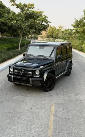 2016 Mercedes-Benz G-Class