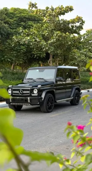 2016 Mercedes-Benz G-Class