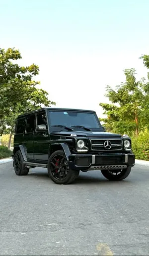 2016 Mercedes-Benz G-Class