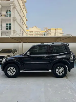 2014 Mitsubishi Pajero
