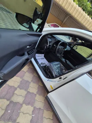 2024 Lexus UX