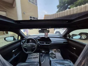 2024 Lexus UX