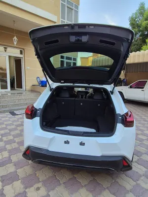 2024 Lexus UX