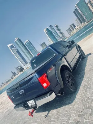 2017 Ford F150