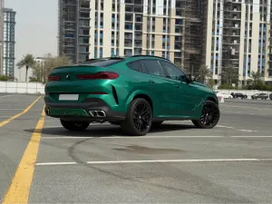 2024 BMW X6
